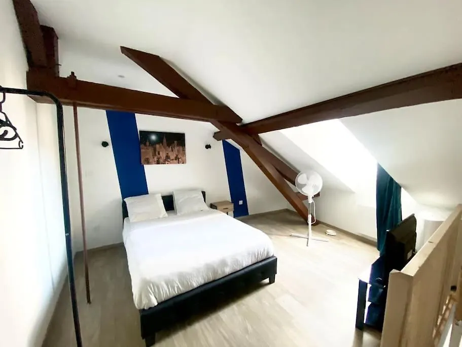 La Residence Des Celestins - Appartement Duplex N17 - Centre Vichy France